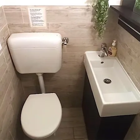 Apartament Amo E Flo *
