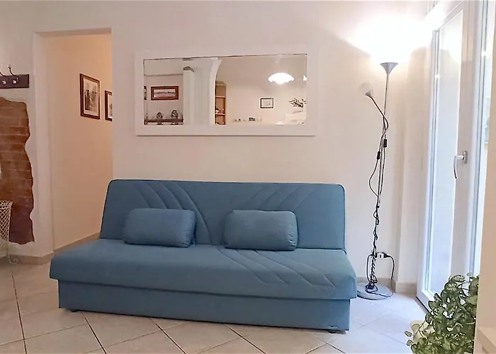 Amo E Flo Floransa