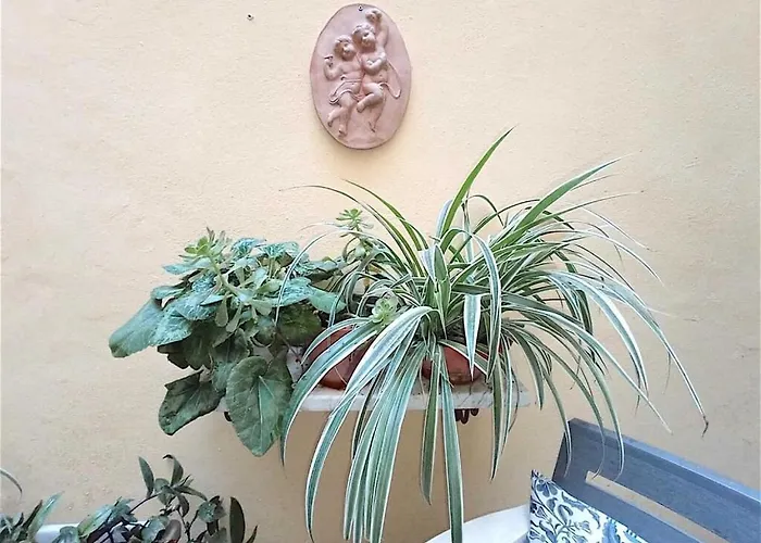 Amo E Flo Floransa